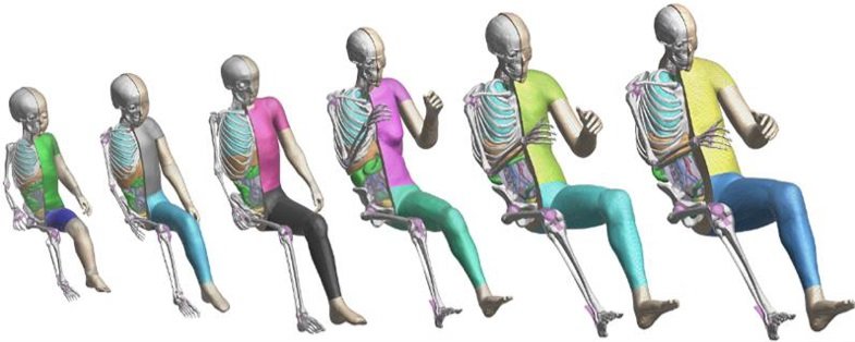 Toyota Offers Free Access to THUMS Virtual Human Body Model Software